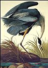 Famous Blue Paintings - Great Blue Heron
